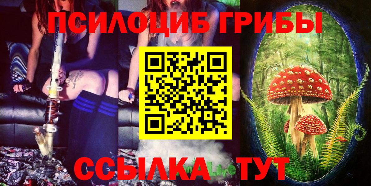 Псилоцибиновые грибы Psilocybine cubensis  Вход с VPN  Стрежевой 