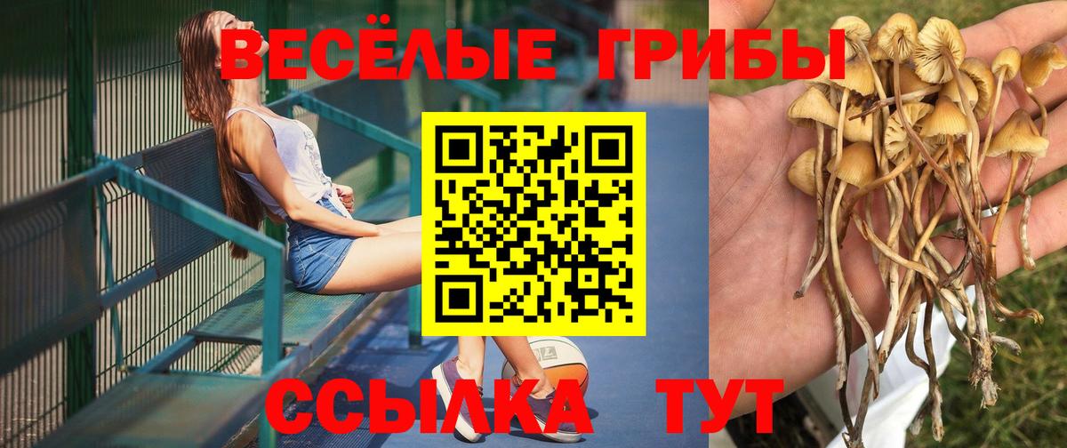 Псилоцибиновые грибы ЛСД Стрежевой